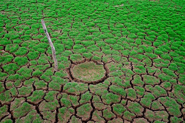 maitree-chemicals-greener-future